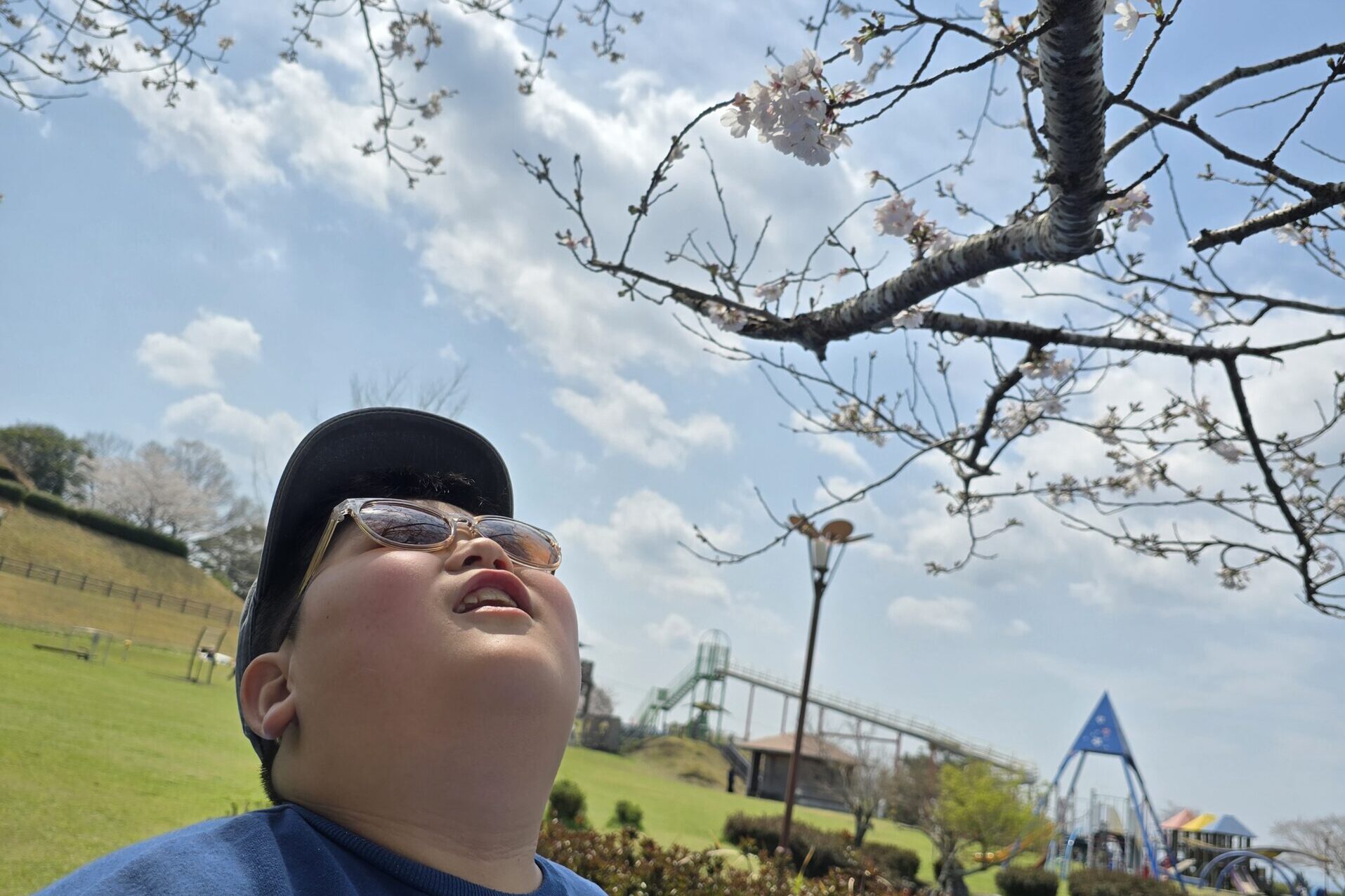 🌸キャンドゥtoプラスの花見🌸